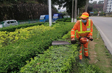 深圳市宝安区洲石公路（航城段）及鹤州立交周边道路清扫保洁和绿化管养综合服务项目